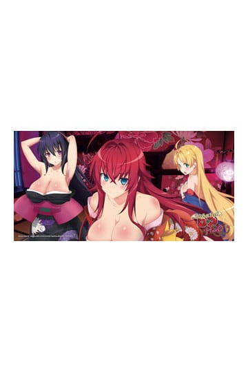 Legit** High School DxD Rias Gremory Authentic Anime Throw Blanket