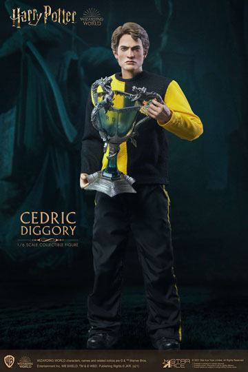 cedric diggory barbie