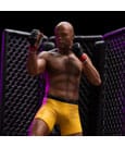 Figurine - UFC 1/10 Deluxe Art Scale Anderson Spider Silva
