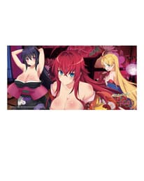 High School DxD Hero Dakimakura Kissenbezug Rias 150 x 50 cm