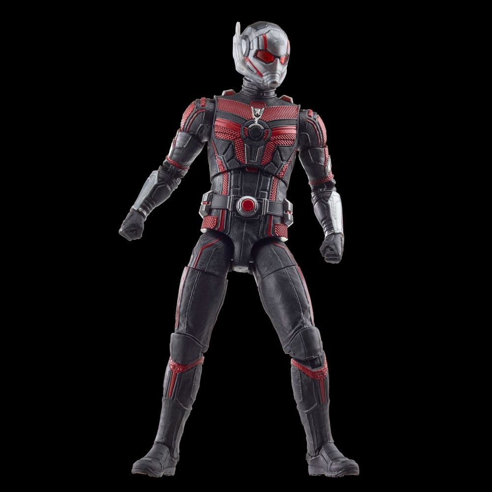 Ant-Man and the Wasp: Quantumania Marvel Legends Action Figure