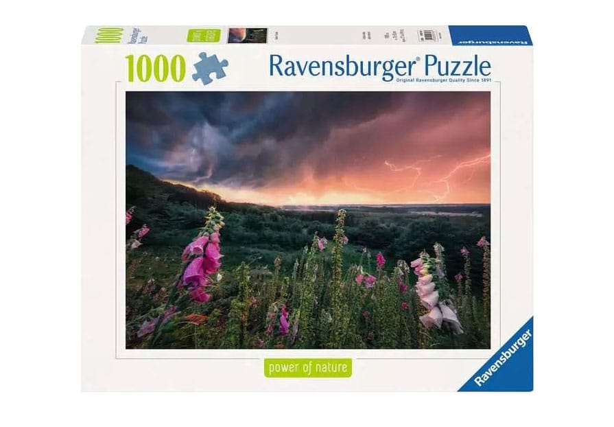 Power of Nature Jigsaw Puzzle A Storm is coming (1000 pieces)