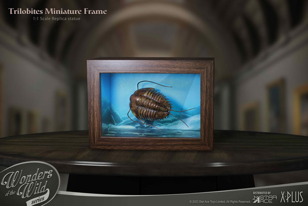 Wonders of the Wild Series Statue 1/1 Trilobites Miniature Frame 15 cm
