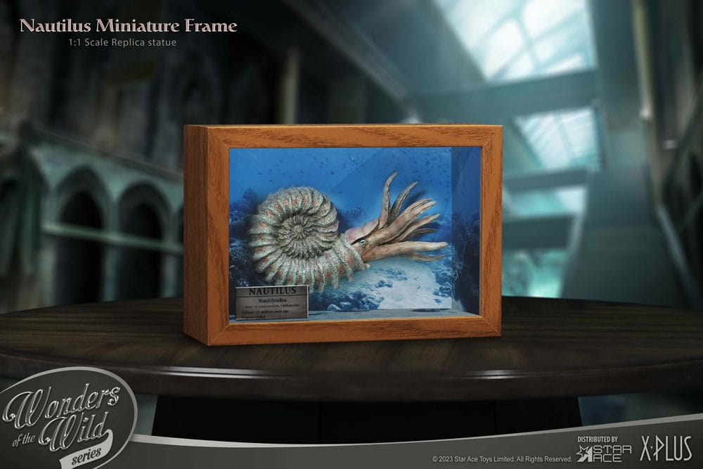 Wonders of the Wild Series Statue 1/1 Nautilus Miniature Frame 15 cm