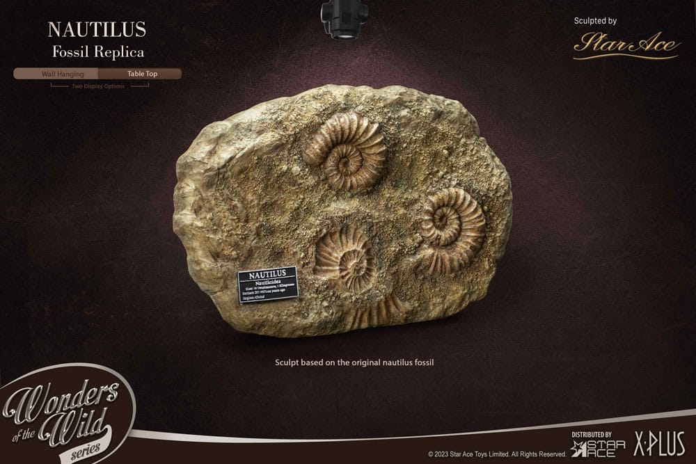 Wonders of the Wild Series Statue 1/1 Nautilus Miniature Frame & Fossil 15 cm