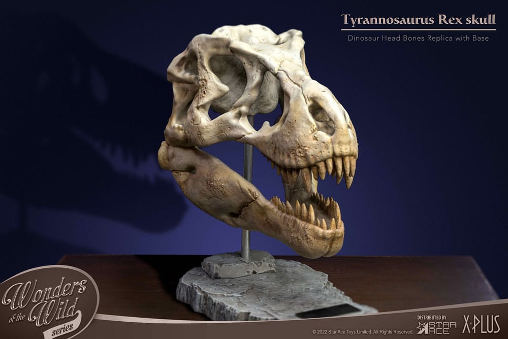 Wonders of the Wild Series Statue T-Rex Head Skull 30 cm